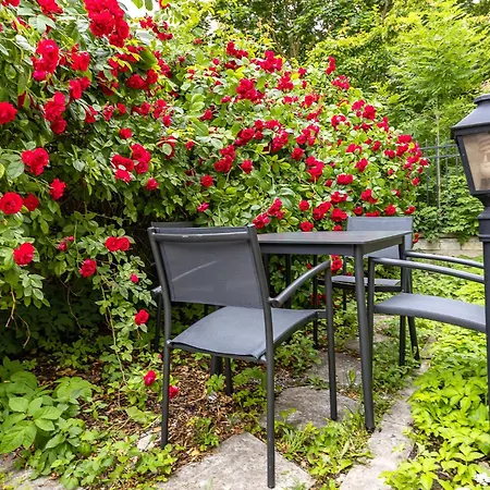 Tallinnhousing Old Town Elegance Vana-viru דירה טאלין