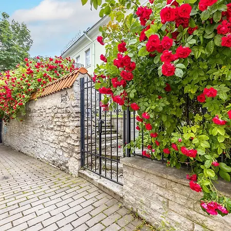 Tallinnhousing Old Town Elegance Vana-viru