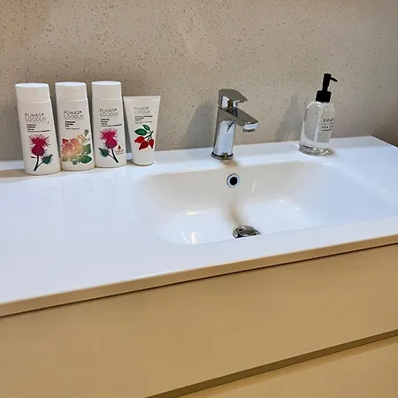 Tallinnhousing Old Town Elegance Vana-viru טאלין