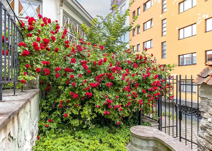 Tallinnhousing Old Town Elegance Vana-viru Lejlighed