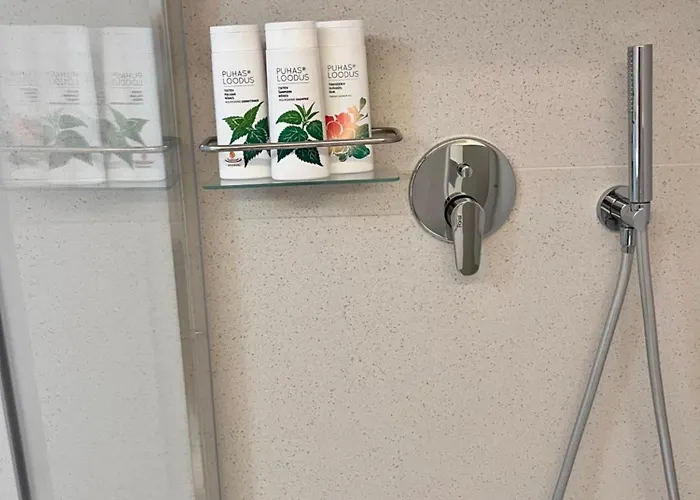 Tallinnhousing Old Town Elegance Vana-viru *