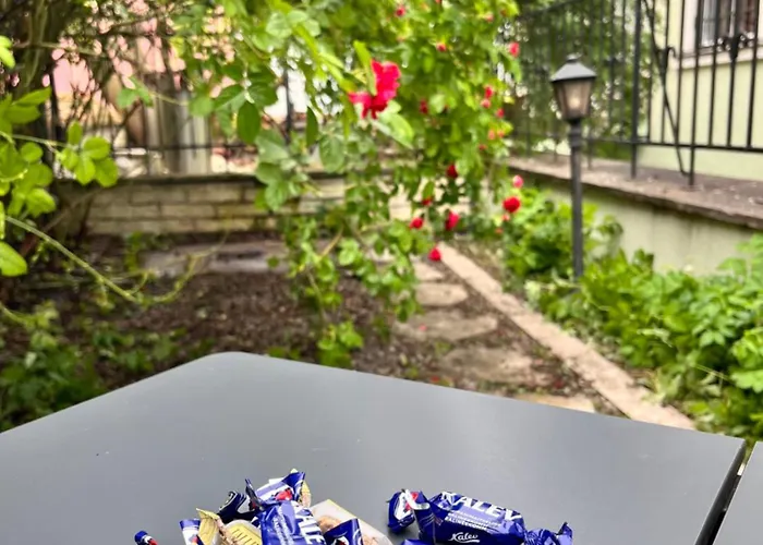 Tallinnhousing Old Town Elegance Vana-viru Korter *